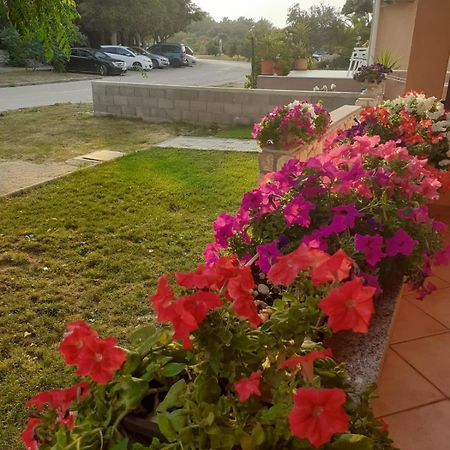 Apartmani Ruza ノヴァリャ エクステリア 写真